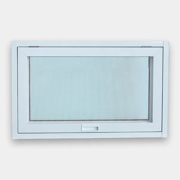 Living Room Windows